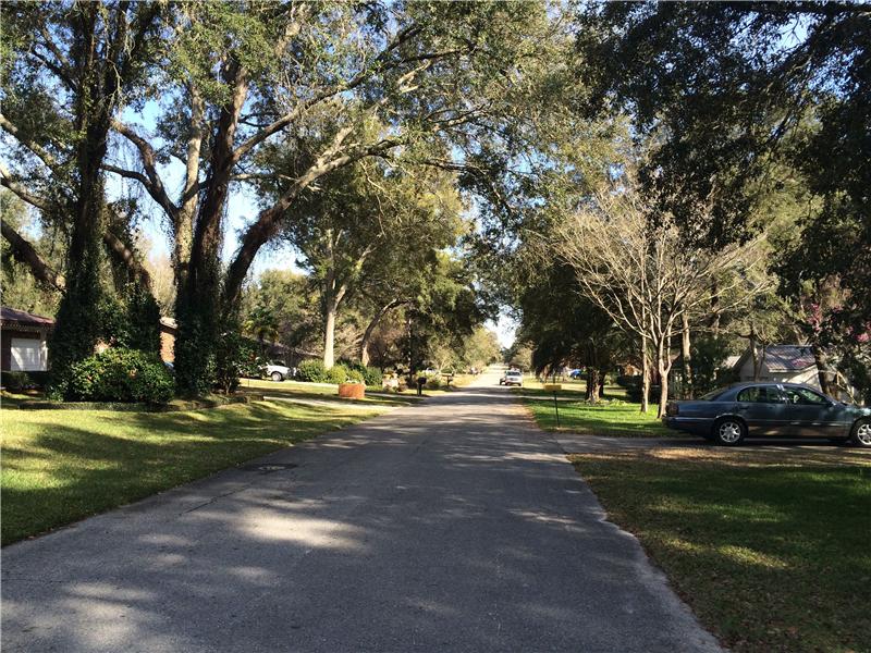 Quiet Shaded Street