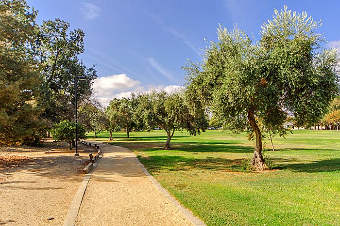 Walking Trail at Woodside Park