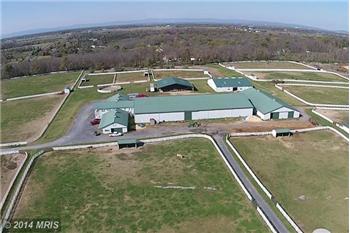 Primary listing photos for listing ID 371945