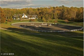 Primary listing photos for listing ID 372136