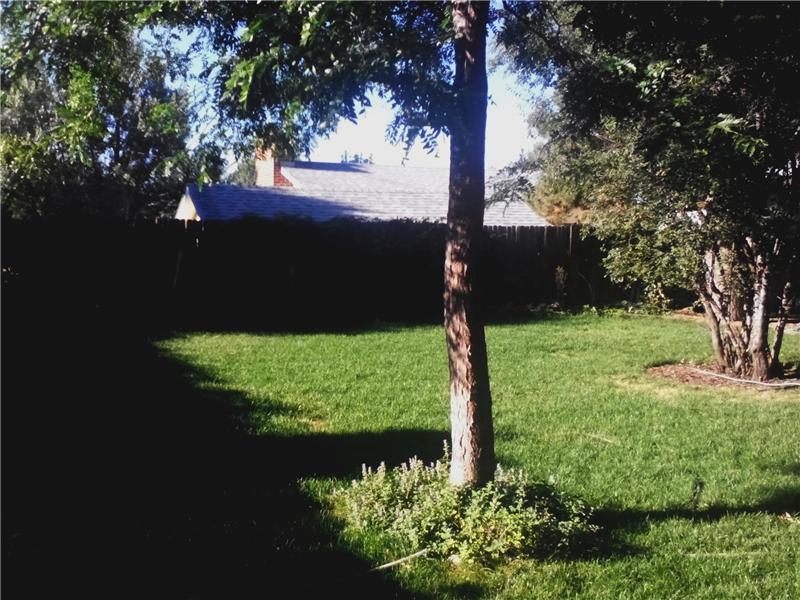 Mature landscaping