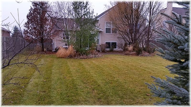 Right Sized Level Yard with Garden Area