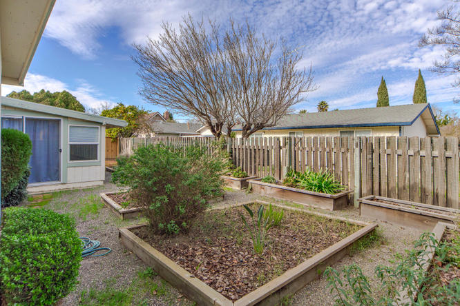 Planter Boxes