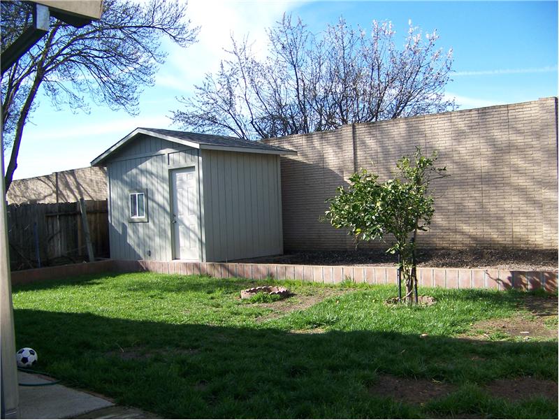 Garden shed in backyard