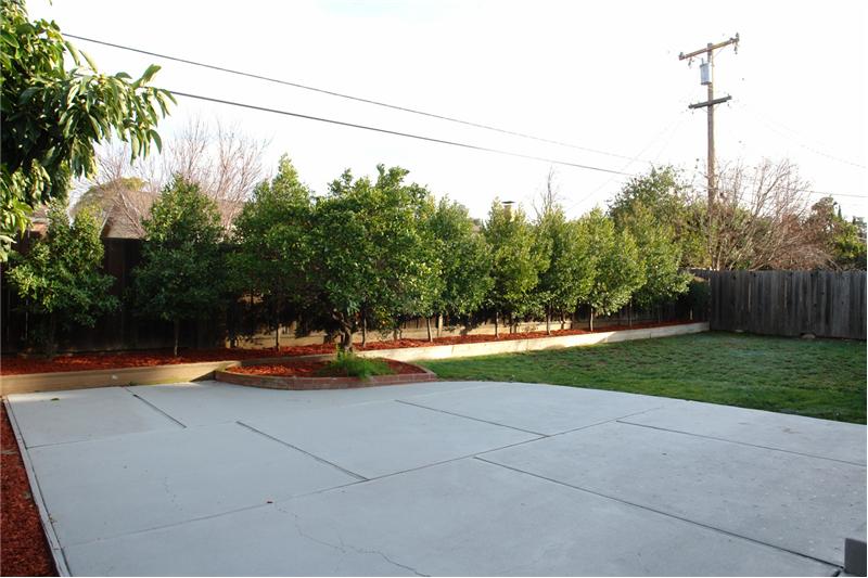 1374 Suzanne Ct San Jose Lynbrook High Home for Sale Orange Tree Back Patio Back Yard View