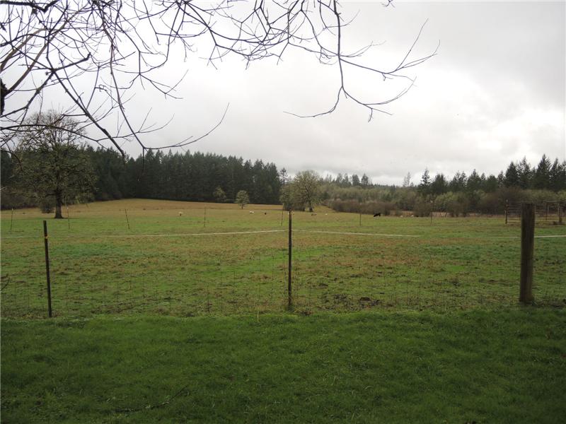 View of back pasture