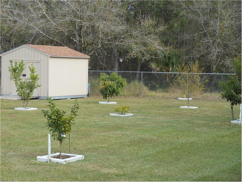 Fruit Trees and Fenced Yard