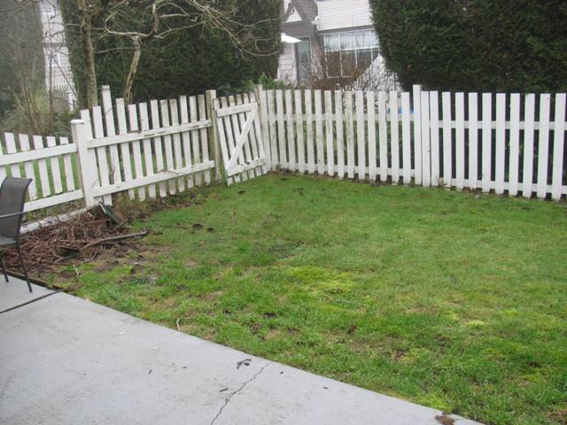 Fenced back yard