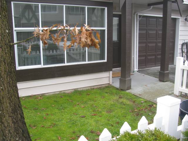 Exterior front showing front yard