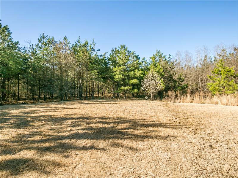 LARGE LEVEL YARD - GREENBELT BEHIND