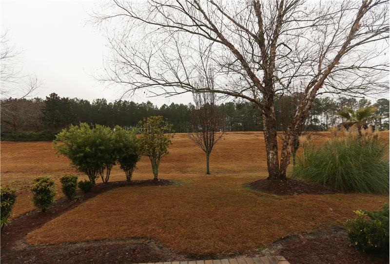 View from patio