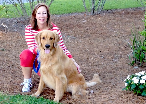Dog Park