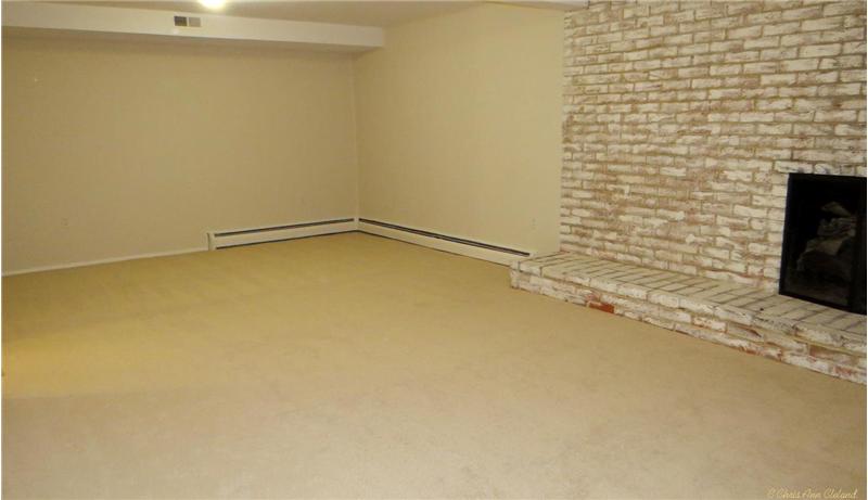 Large Family Room on Entry (Lower) Level