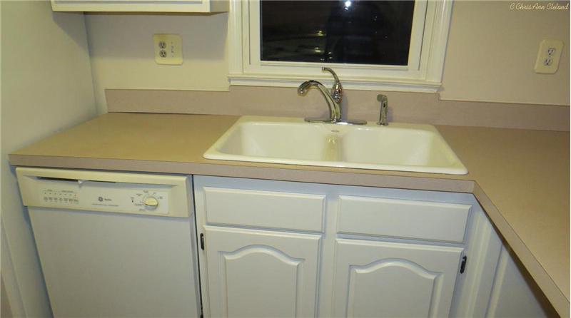 Kitchen Sink and Dishwasher