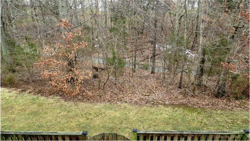 Wooded View from Deck