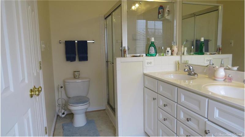Master Bathroom Dual Sinks/Vanity