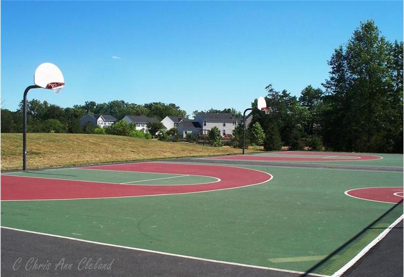 Braemar has Multiple Basketball Courts