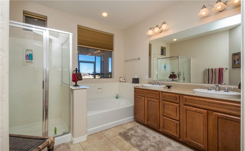 Master Bathroom pic 1