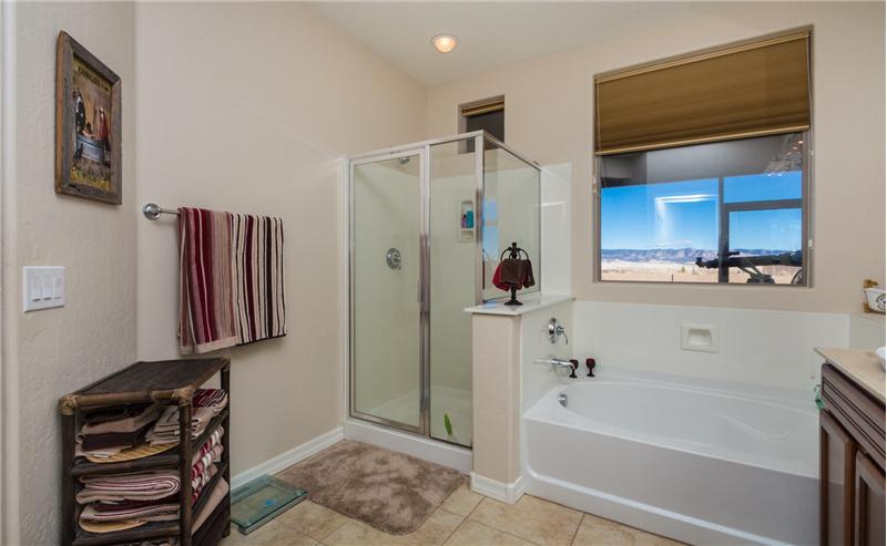 Master Bathroom pic 2