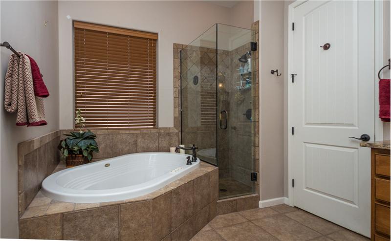 Master Bathroom view 2