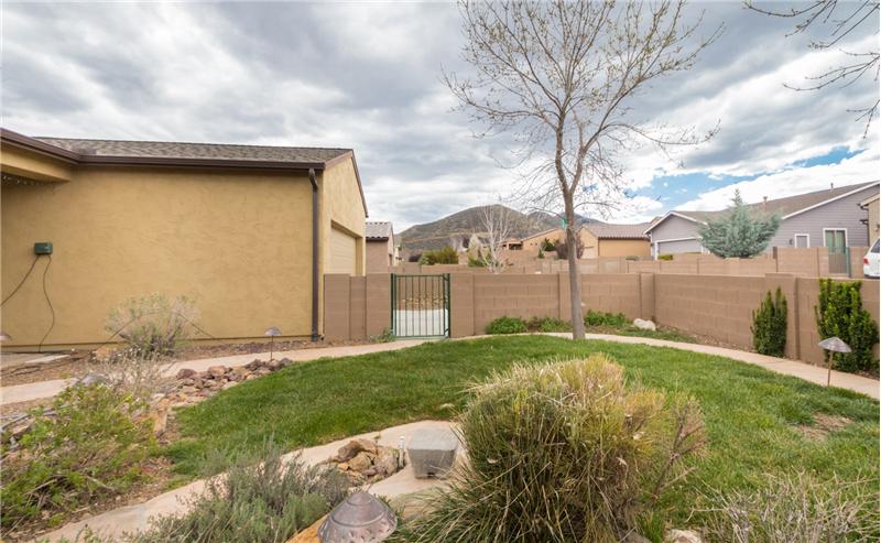 Backyard 3