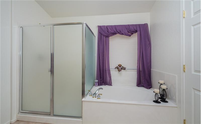 Master Bathroom 2
