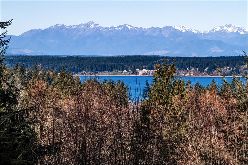 Amazing Views of the Olympics and Henderson Bay.